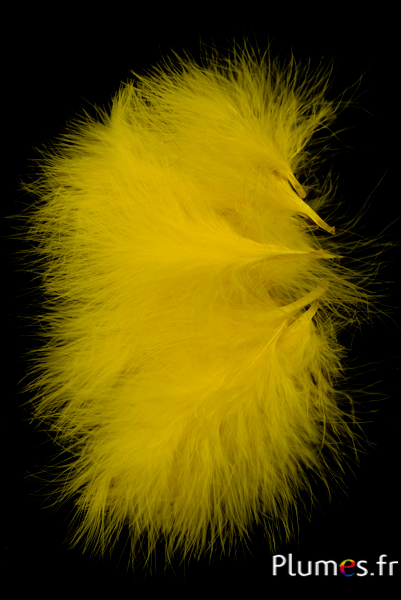 Dinde marabout - 8-12 cm - jaune